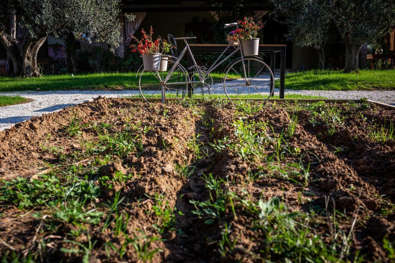 Bed and Breakfast Relais San Baio à Cecina  Extérieur photo